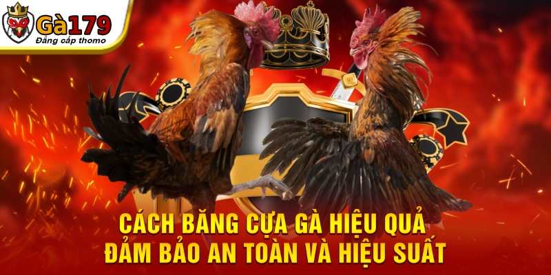 Cách băng cựa gà